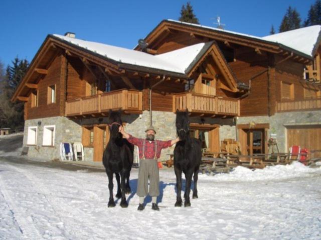 Willa Agriturismo Chalet Caribona Valdisotto Zewnętrze zdjęcie